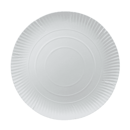Pappteller ungeteilt 30cm.